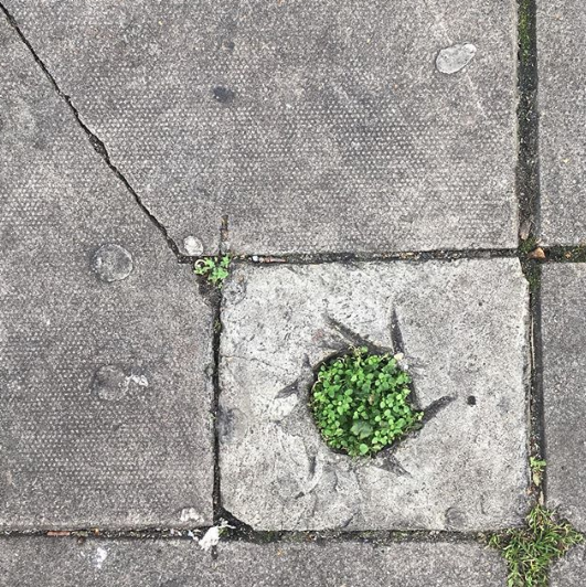 Screen Shot 2018-09-21 at 14.30.06