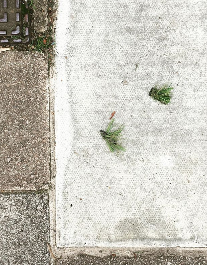 Screen Shot 2018-09-21 at 14.31.44