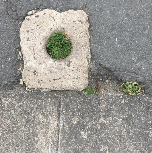 Screen Shot 2018-09-21 at 14.32.05